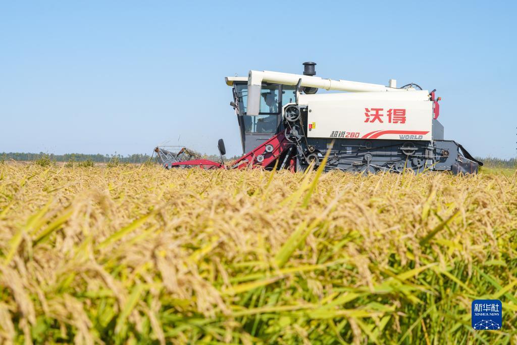 皇冠365账号